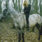 AppalOOsa